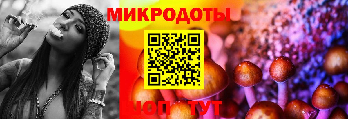 Псилоцибиновые грибы Psilocybine cubensis  Вход с VPN  Галлюциногенные грибы ЛСД  Нарткала 